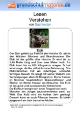 Elch - Sachtext.pdf